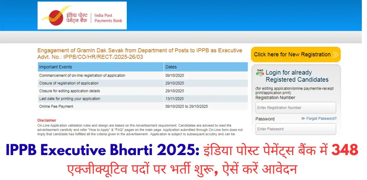 IPPB Executive Bharti 2025